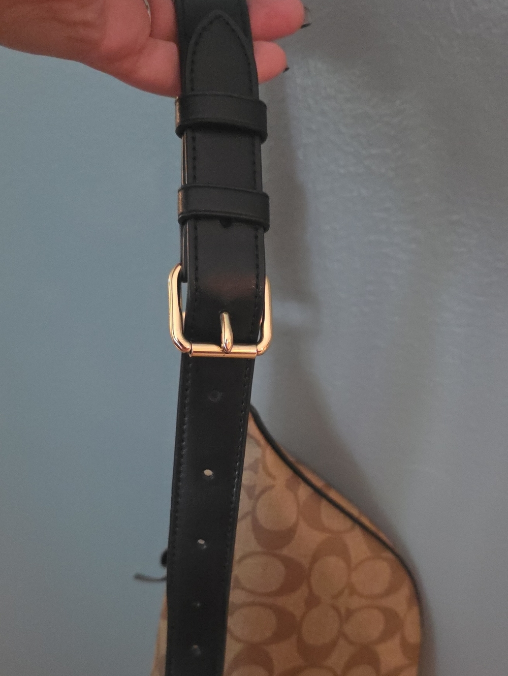 Coach x Chelsea Champlain Tattoo Signature Belt Bag (Style F76663) - Picture 11 of 13